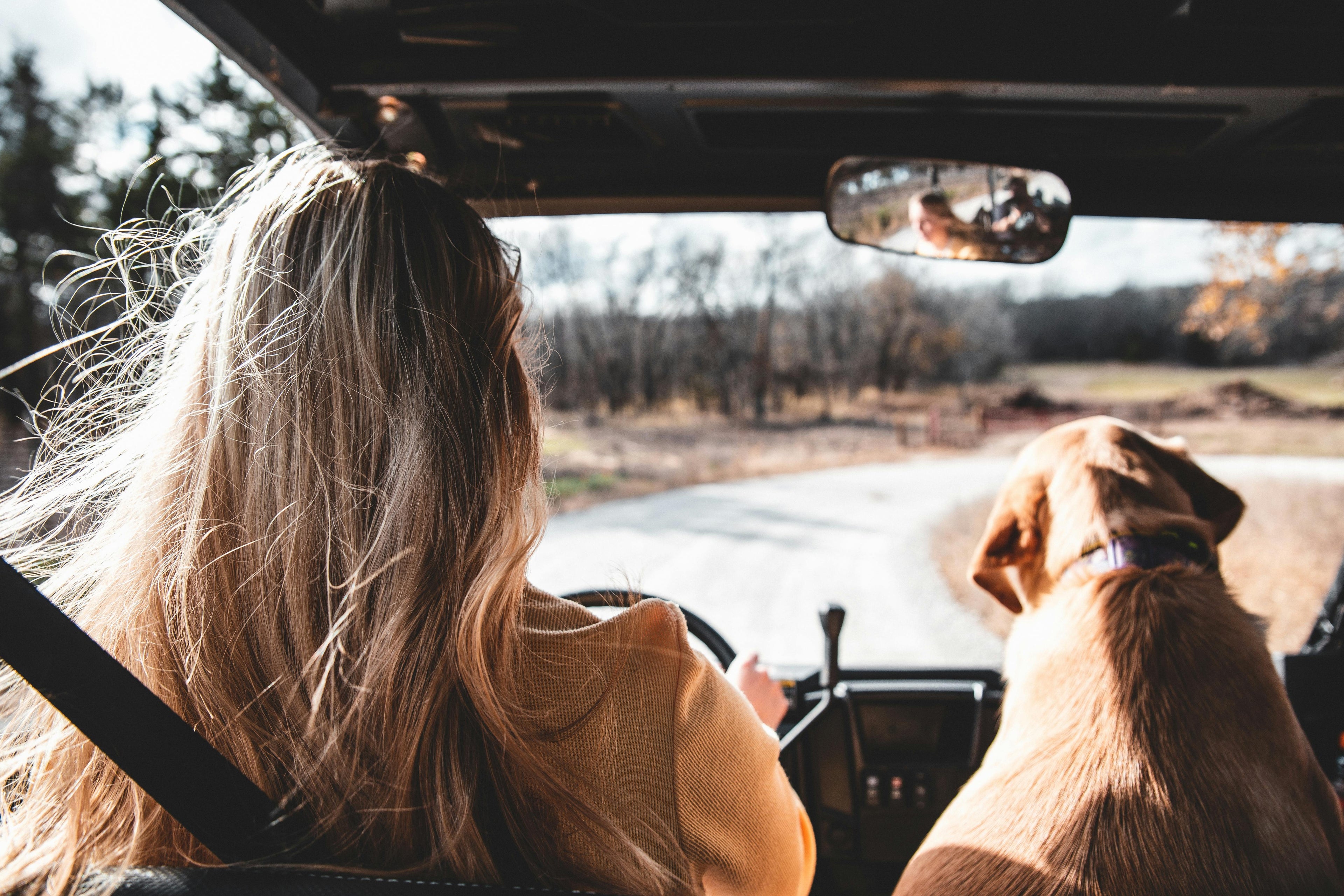 Woman and dog in a car on a road trip with nature in the background